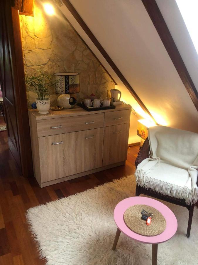 Willa nad Popradem Bed and Breakfast Piwniczna-Zdroj Esterno foto