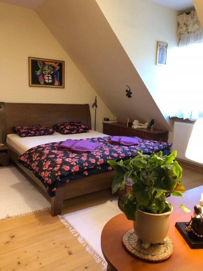 Willa nad Popradem Bed and Breakfast Piwniczna-Zdroj Esterno foto