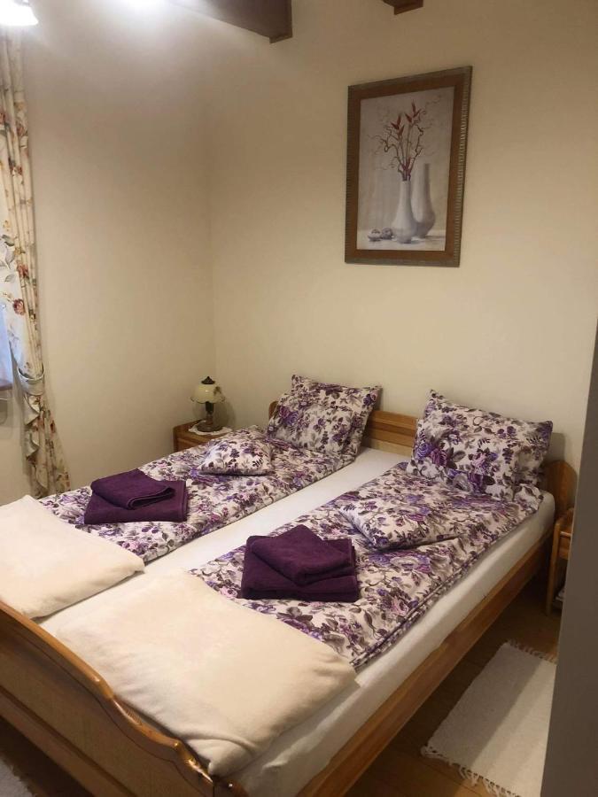 Willa nad Popradem Bed and Breakfast Piwniczna-Zdroj Esterno foto