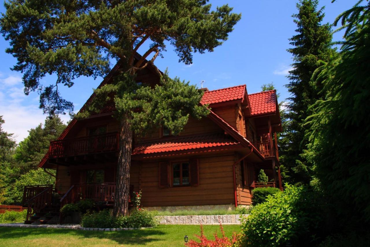 Willa nad Popradem Bed and Breakfast Piwniczna-Zdroj Esterno foto